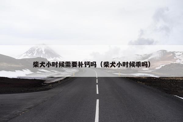 柴犬小时候需要补钙吗（柴犬小时候乖吗）