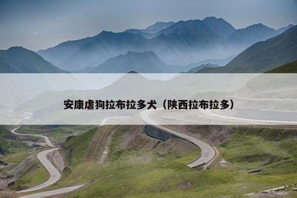 安康虐狗拉布拉多犬（陕西拉布拉多）