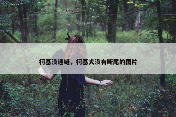 柯基没通缝,柯基犬没有断尾的图片