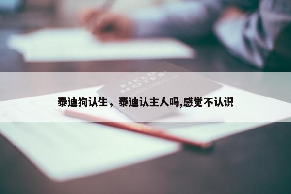 泰迪狗认生，泰迪认主人吗,感觉不认识