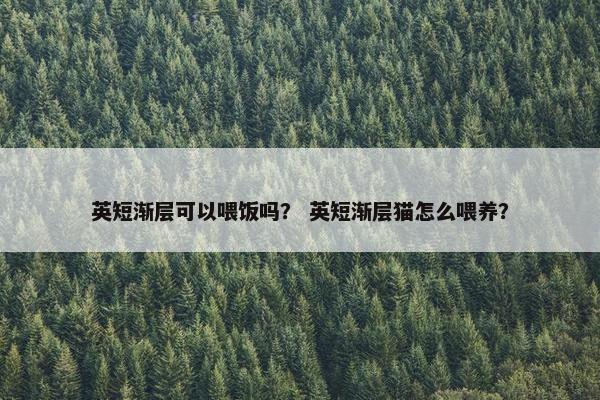 英短渐层可以喂饭吗？ 英短渐层猫怎么喂养？