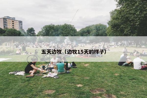 五天边牧（边牧15天的样子）