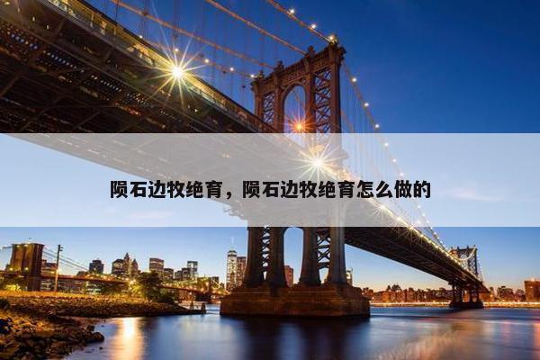 陨石边牧绝育，陨石边牧绝育怎么做的