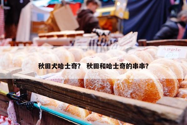 秋田犬哈士奇？ 秋田和哈士奇的串串？