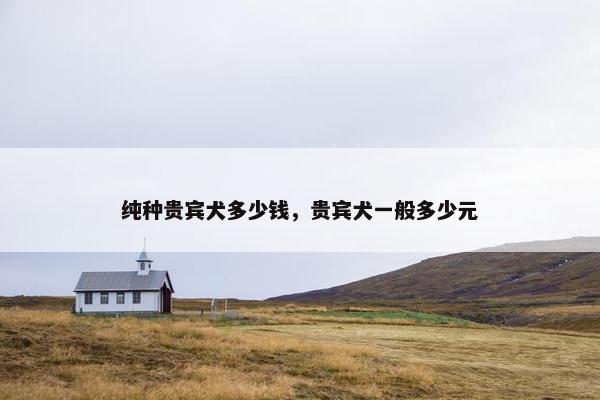 纯种贵宾犬多少钱，贵宾犬一般多少元