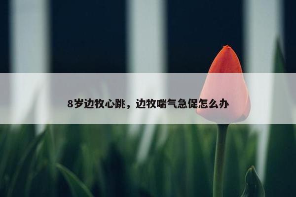 8岁边牧心跳，边牧喘气急促怎么办