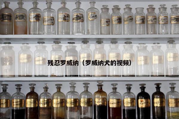 残忍罗威纳（罗威纳犬的视频）