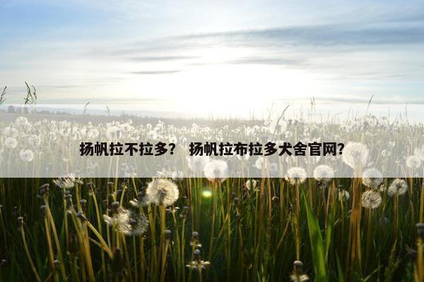 发现