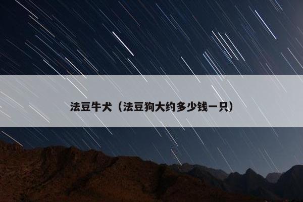 法豆牛犬（法豆狗大约多少钱一只）