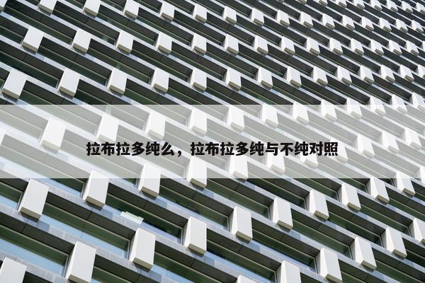 拉布拉多纯么，拉布拉多纯与不纯对照