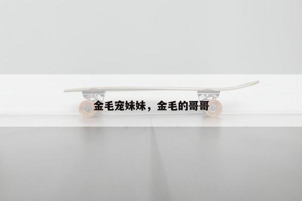 金毛宠妹妹，金毛的哥哥
