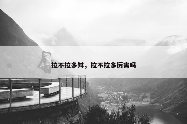 拉不拉多舛，拉不拉多厉害吗