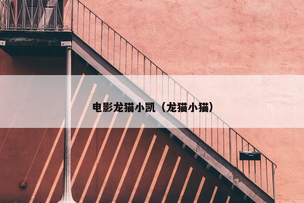 电影龙猫小凯（龙猫小猫）
