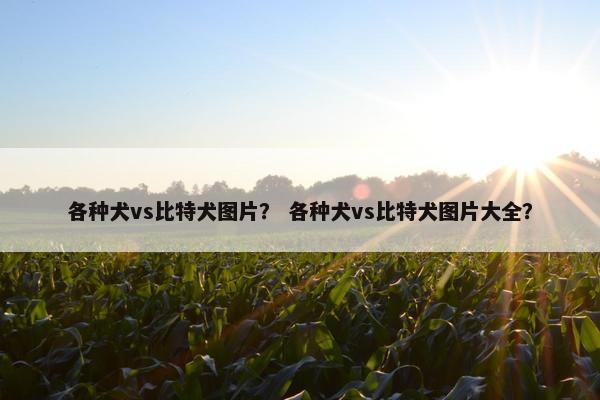 各种犬vs比特犬图片？ 各种犬vs比特犬图片大全？