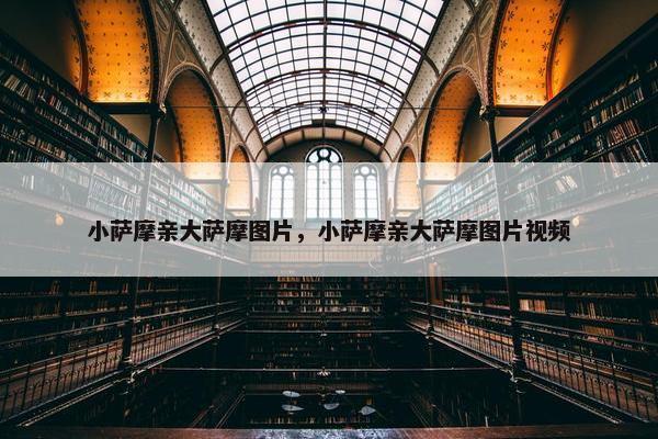 小萨摩亲大萨摩图片，小萨摩亲大萨摩图片视频