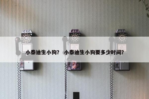 小泰迪生小狗？ 小泰迪生小狗要多少时间？
