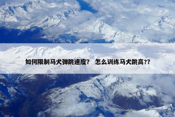 如何限制马犬弹跳速度？ 怎么训练马犬跳高?？