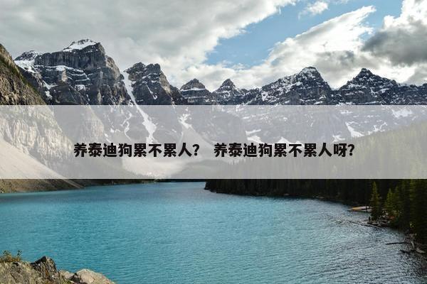 养泰迪狗累不累人？ 养泰迪狗累不累人呀？