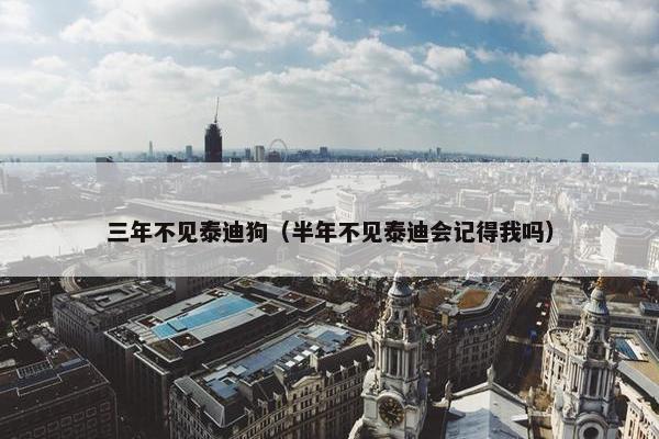 三年不见泰迪狗（半年不见泰迪会记得我吗）