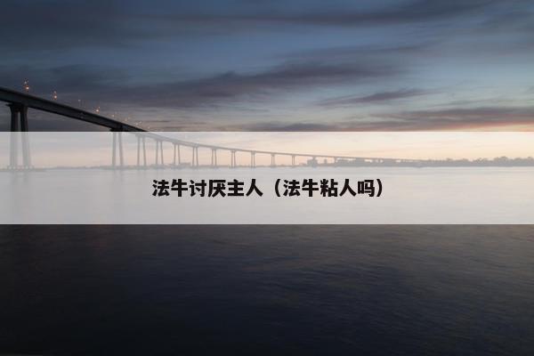 法牛讨厌主人（法牛粘人吗）
