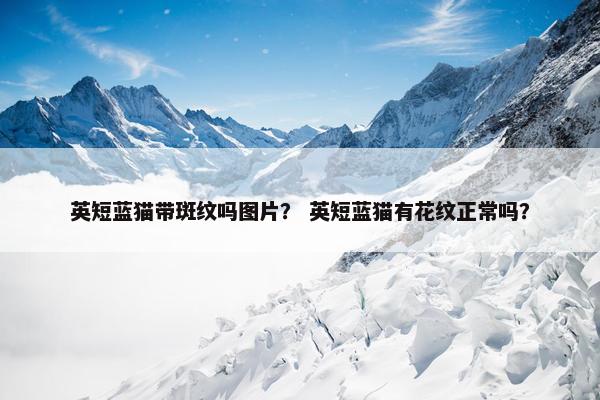 英短蓝猫带斑纹吗图片？ 英短蓝猫有花纹正常吗？