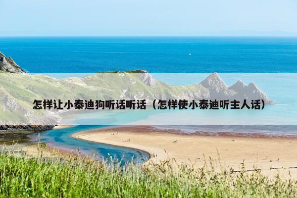 怎样让小泰迪狗听话听话（怎样使小泰迪听主人话）