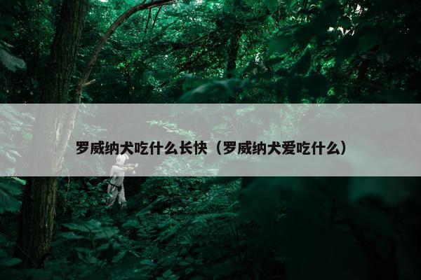 罗威纳犬吃什么长快（罗威纳犬爱吃什么）