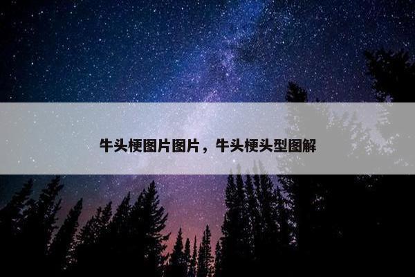 牛头梗图片图片，牛头梗头型图解
