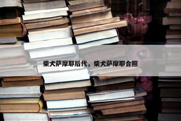 柴犬萨摩耶后代，柴犬萨摩耶合照