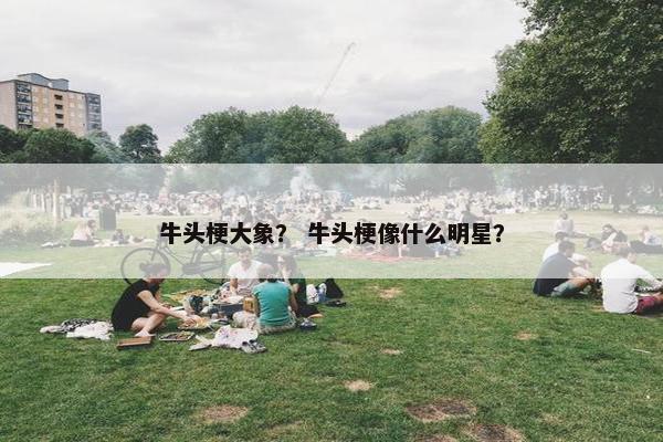 牛头梗大象？ 牛头梗像什么明星？