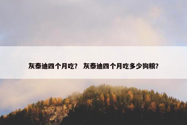 灰泰迪四个月吃？ 灰泰迪四个月吃多少狗粮？