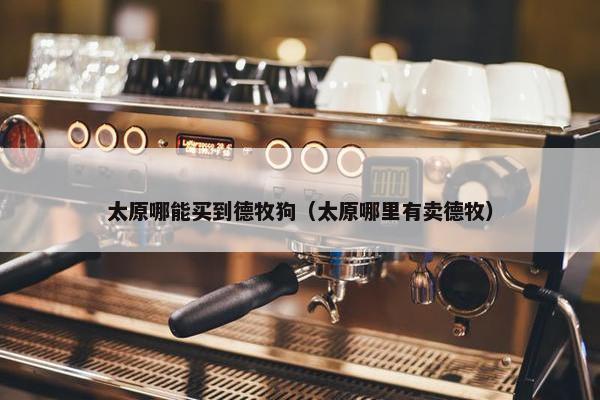 太原哪能买到德牧狗（太原哪里有卖德牧）