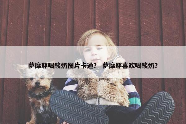 萨摩耶喝酸奶图片卡通？ 萨摩耶喜欢喝酸奶？