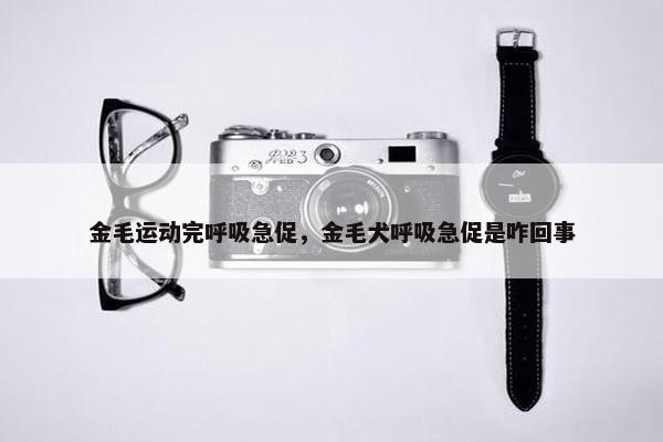 金毛运动完呼吸急促，金毛犬呼吸急促是咋回事
