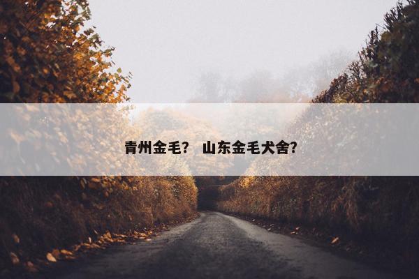 得胜