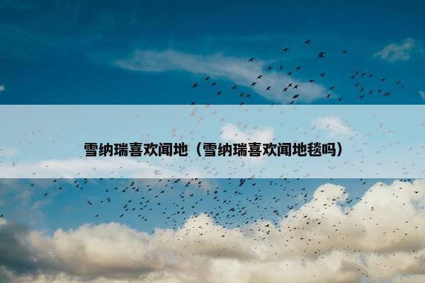 雪纳瑞喜欢闻地（雪纳瑞喜欢闻地毯吗）