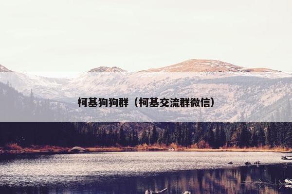 柯基狗狗群（柯基交流群微信）