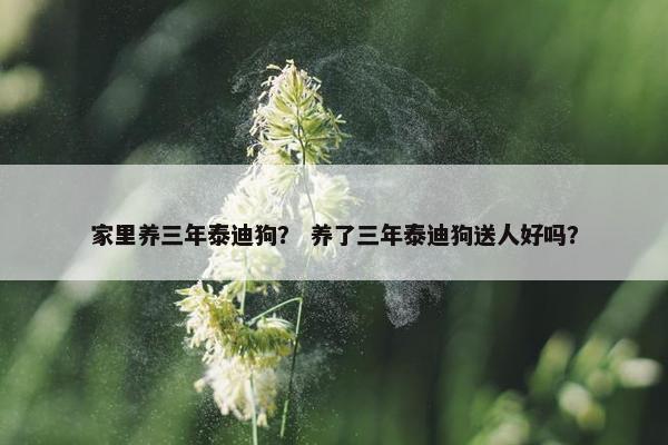 家里养三年泰迪狗？ 养了三年泰迪狗送人好吗？
