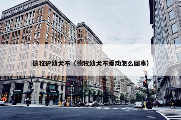 德牧护幼犬不（德牧幼犬不爱动怎么回事）
