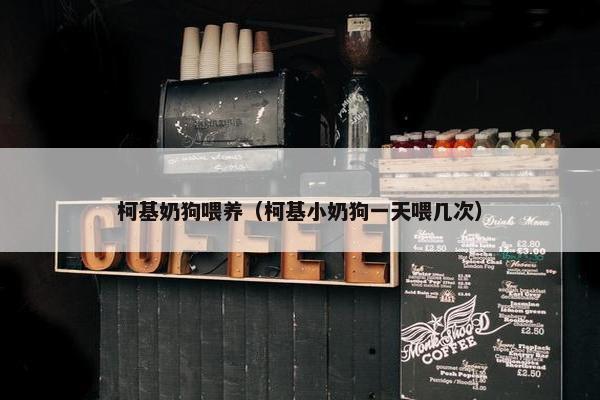 柯基奶狗喂养（柯基小奶狗一天喂几次）