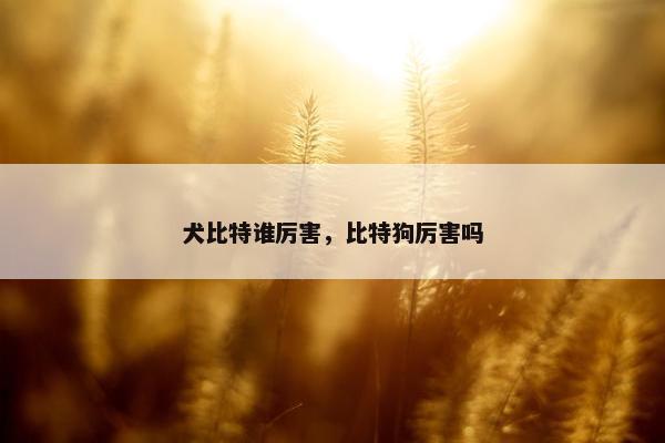 犬比特谁厉害，比特狗厉害吗