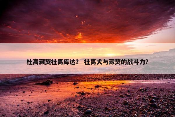 杜高藏獒杜高库达？ 杜高犬与藏獒的战斗力？