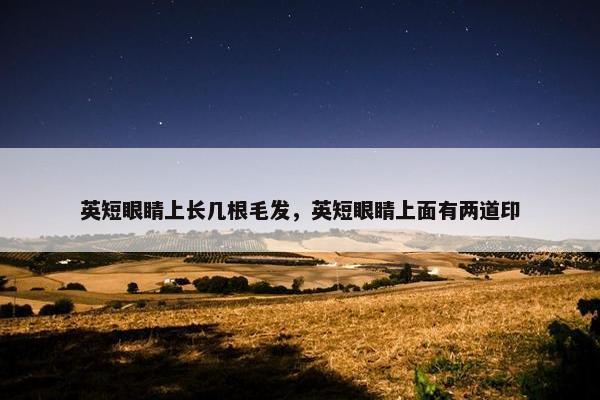 眼睛