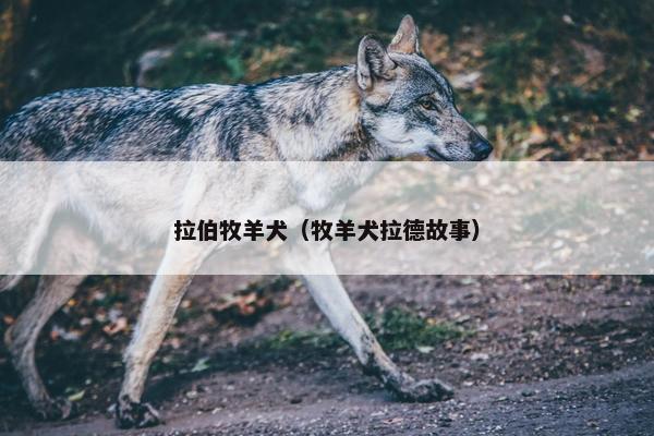 中等