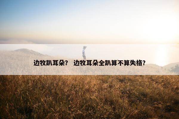 边牧趴耳朵？ 边牧耳朵全趴算不算失格？