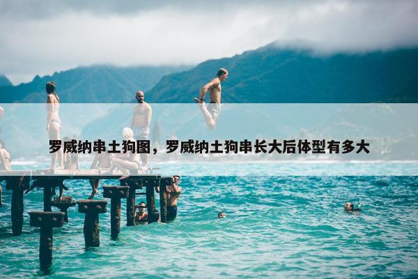 罗威纳串土狗图，罗威纳土狗串长大后体型有多大