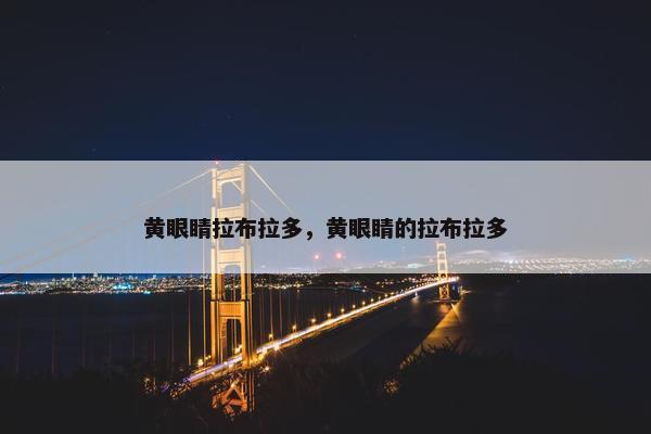 黄眼睛拉布拉多，黄眼睛的拉布拉多