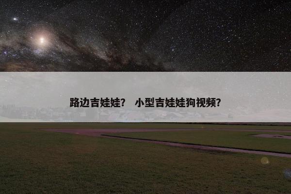 路边吉娃娃？ 小型吉娃娃狗视频？
