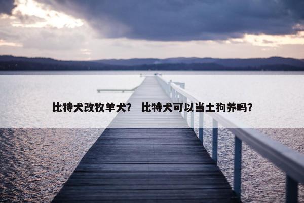 比特犬改牧羊犬？ 比特犬可以当土狗养吗？
