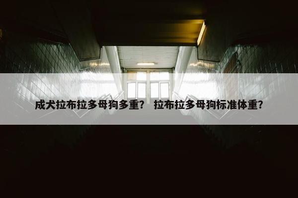 成犬拉布拉多母狗多重？ 拉布拉多母狗标准体重？